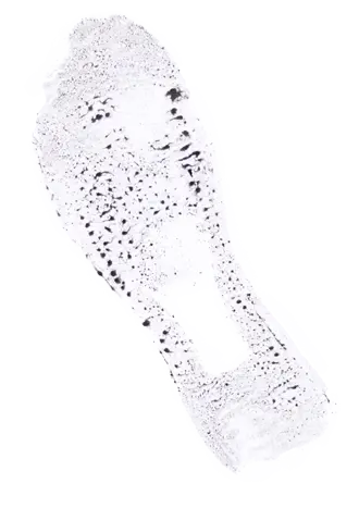 Photo of footprint